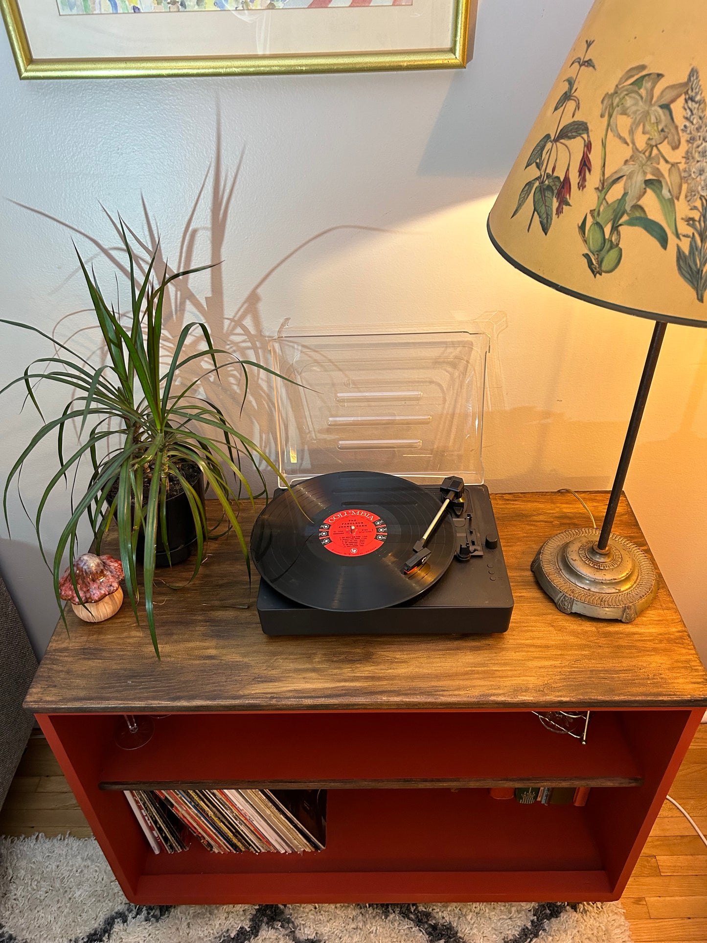 Mushroom Magic Record Console