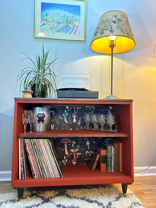 Mushroom Magic Record Console